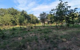 location saisonnière curiste